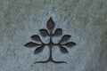 Tree of life carved into stone surface Royalty Free Stock Photo