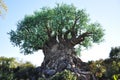 Tree of Life in Disney Animal Kingdom Royalty Free Stock Photo