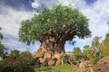 Tree of Life in Disney Animal Kingdom Theme Park, Orlando, Florida Royalty Free Stock Photo