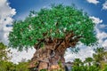 The Tree of Life at Disney's Animal Kingdom Royalty Free Stock Photo