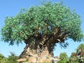 Tree of Life at Disney`s Animal Kingdom Park, near Orlando, Florida Royalty Free Stock Photo