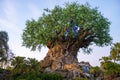 Tree of Life, Disney World, Animal Kingdom, Travel Royalty Free Stock Photo