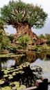 Tree of Life at Disneys Animal Kingdom Park Royalty Free Stock Photo