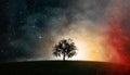 Tree of Life in front of Night Sky Cosmos Royalty Free Stock Photo