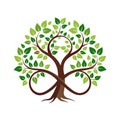 Tree of Life with Infinity Symbol Intertwined: Growth, Sustainability, and Eternal Connection Royalty Free Stock Photo