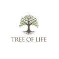 Tree of Life, oak banyan leaf and root seal emblem stamp logo design inspiration Royalty Free Stock Photo