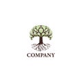 Tree of Life, oak banyan leaf, and root seal logo applied for business and finance logo design inspiration. Royalty Free Stock Photo