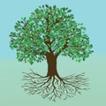 Tree of life oak version Royalty Free Stock Photo