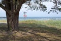 Tree and life saving buoy Royalty Free Stock Photo