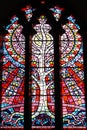 Tree of Life stained glass window Royalty Free Stock Photo