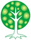 The tree of life. The symbol of ecology, growth, sustainability, development. Spiritual symbol.
