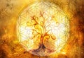 Tree of life symbol and flower of life and space background with ornaments, yggdrasil. Royalty Free Stock Photo