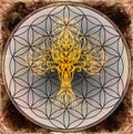 Tree of life symbol on structured ornamental background, flower of life pattern, yggdrasil. Royalty Free Stock Photo