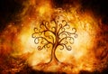 Tree of life symbol on structured and space background, yggdrasil.