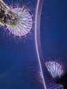 Tree of light at Garden by the bay Singapore Royalty Free Stock Photo