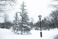 Tree and light pole with snow in vintage style Royalty Free Stock Photo