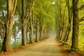 Tree line countryside road Royalty Free Stock Photo