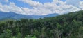 Tree line mountain clouds