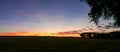 Tree line during sunset - Panorama Picture