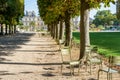 A tree lined alley in the Luxembourg garden in Paris, France, by a sunny summer morning Royalty Free Stock Photo