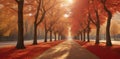 A tree-lined avenue in autumn, with leaves in various shades of red and gold Royalty Free Stock Photo