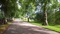 Tree-lined Avenue in Shrewsbury, England Royalty Free Stock Photo