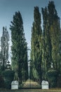 Tree lined avenue entrance Royalty Free Stock Photo