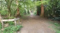 Tree lined Avenue at Havering Country Park 6 Royalty Free Stock Photo