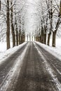 Tree lined avenue after snowfall Royalty Free Stock Photo