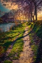 A footpath along the Canal du Midi in late afternoon with beautiful light. Herault, France Royalty Free Stock Photo