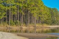 The tree lined beach on Hammock Bay in Freeport, Walton County, Florida