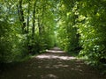 Tree-lined bike and hiking path in Gentbrugse Meersen Royalty Free Stock Photo