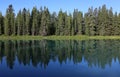 Tree-lined Bow River Royalty Free Stock Photo