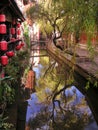 Tree-lined Canal in the Ancient Town of Dayan, Lijiang, China