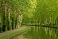 Tree-lined Canal of Garonne in France