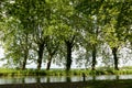 Tree-lined Canal of Garonne in France