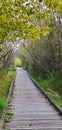 Tree canopied boardwalk at Clear Creek Trail in Silverdale, Washington Royalty Free Stock Photo