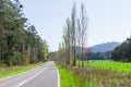 A tree lined country road near Marysville, Australia. Royalty Free Stock Photo