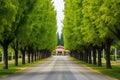 tree-lined driveway leading to a traditional winery building