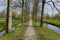 Tree lined footpath in the Netherlands