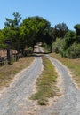 Driveway up to the farm Royalty Free Stock Photo