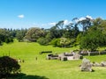 Tree lined lawn at Cornwall Park with people enjoying sunny day outdoors Royalty Free Stock Photo