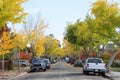 Tree lined neighborhood with leaves falling on street Royalty Free Stock Photo