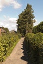 Tree lined path Royalty Free Stock Photo