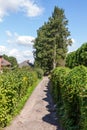 Tree lined path