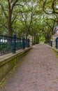 Tree Lined Pathway in Waterfront Park, Charleston Royalty Free Stock Photo