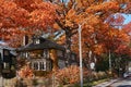 Street with glorious fall colors Royalty Free Stock Photo