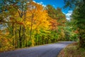 Tree Lined Road Lined With Brilliant Autumn Foliage Royalty Free Stock Photo