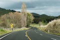 Tree lined road curving to the left Royalty Free Stock Photo