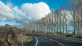 Tree lined road curving to the left under cloudy skies Royalty Free Stock Photo